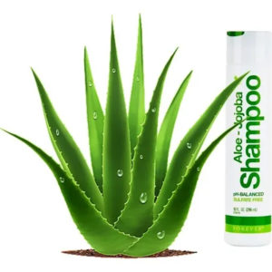 Aloe-Jojoba Shampoo